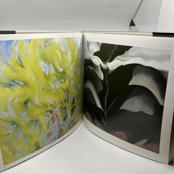 Georgia O'Keeffe In The West  Culmination Of O'Keeffe's Life And Art Hardcover - Picture 13 of 14